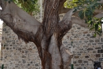 201504-Nisiros-0005.JPG
