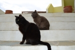201504-Nisiros-0126.JPG